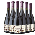 Vinho tinto Pilandro Cabernet Sauvignon (Kit com 6)